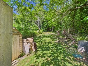 TOP OF GARDEN INTO WOODLAND- click for photo gallery